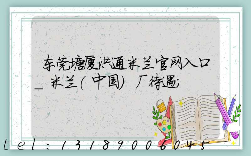 东莞塘厦洪通米兰官网入口_米兰（中国）厂待遇