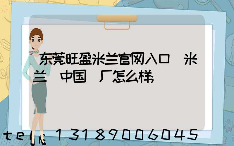 东莞旺盈米兰官网入口_米兰（中国）厂怎么样