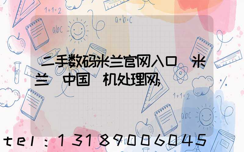 二手数码米兰官网入口_米兰（中国）机处理网