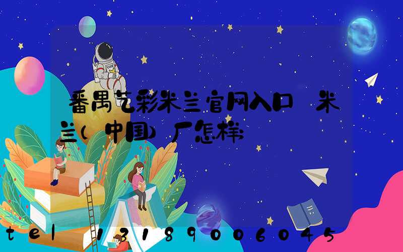 番禺艺彩米兰官网入口_米兰（中国）厂怎样