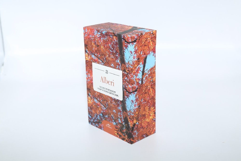 广州包装盒米兰官网入口_米兰（中国）厂- 设计+米兰官网入口_米兰（中国） 快速上手